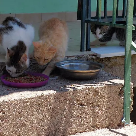 Cute House With Mountain Views *