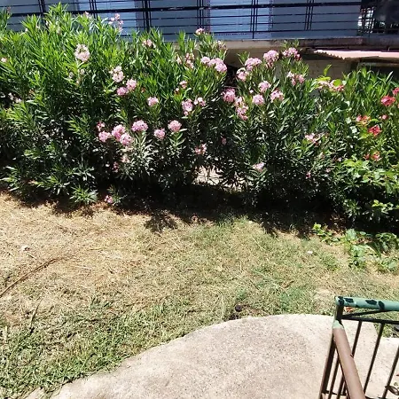 Cute House With Mountain Views Vakantiehuis *